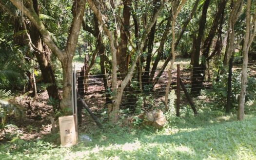 Vacant land for sale in Ramsgate -Kwazulu Natal